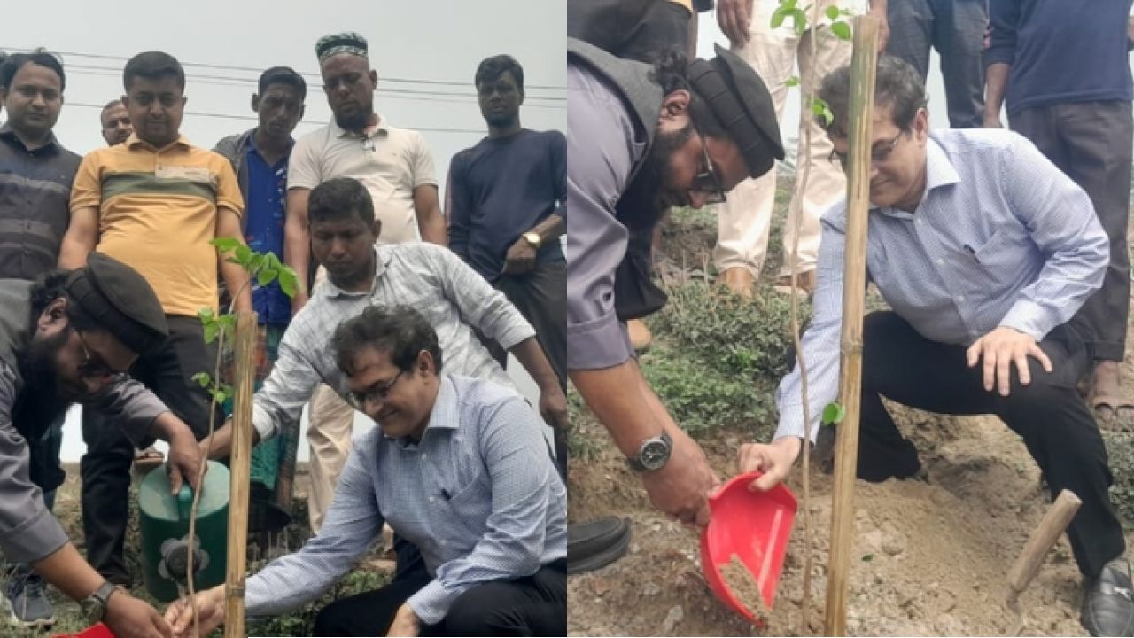 মহাসড়কের পাশে বৃক্ষরোপণ, সবুজ কুড়িগ্রাম গড়ার প্রত্যয়