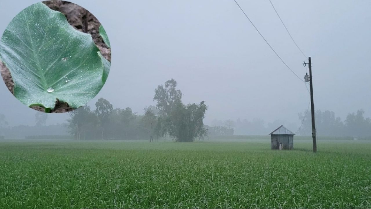 চৈত্রেও পৌষের রূপ, কুয়াশার চাদরে ঢাকা কুড়িগ্রাম