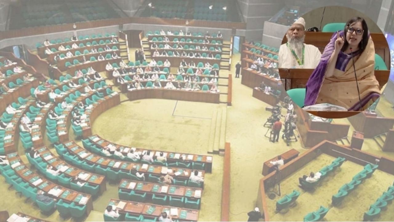 ‘৩০০ সংসদ সদস্যের সামনে কথা বলছি, ৩০০ হামের রোগীর সামনে না’