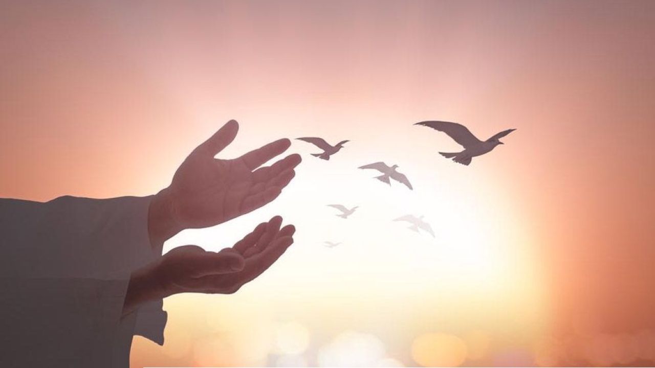 জান্নাতে যাওয়ার পরও কি মানুষের কোনো বিষয়ে আফসোস থাকবে?