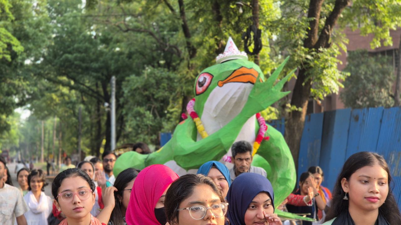 লোকজ ঐতিহ্যে বর্ষবিদায়ে জাবিতে ‘ব্যাঙের পানচিনি’ অনুষ্ঠিত