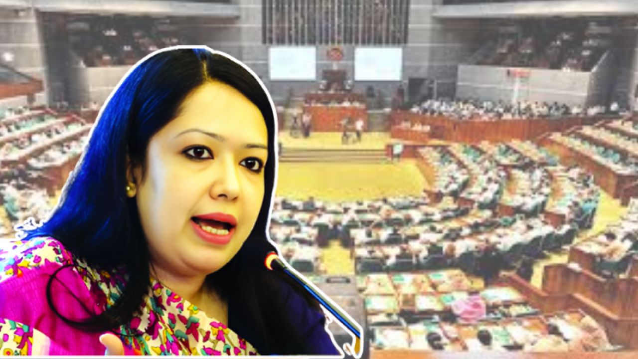 সরাইল উপজেলার হাসপাতাল নিজেই রোগীর মতো : রুমিন ফারহানা