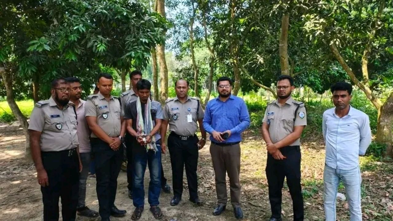 দর্শনায় গাঁজা বিক্রির দায়ে মাদক ব্যবসায়ীর ১ বছরের জেল