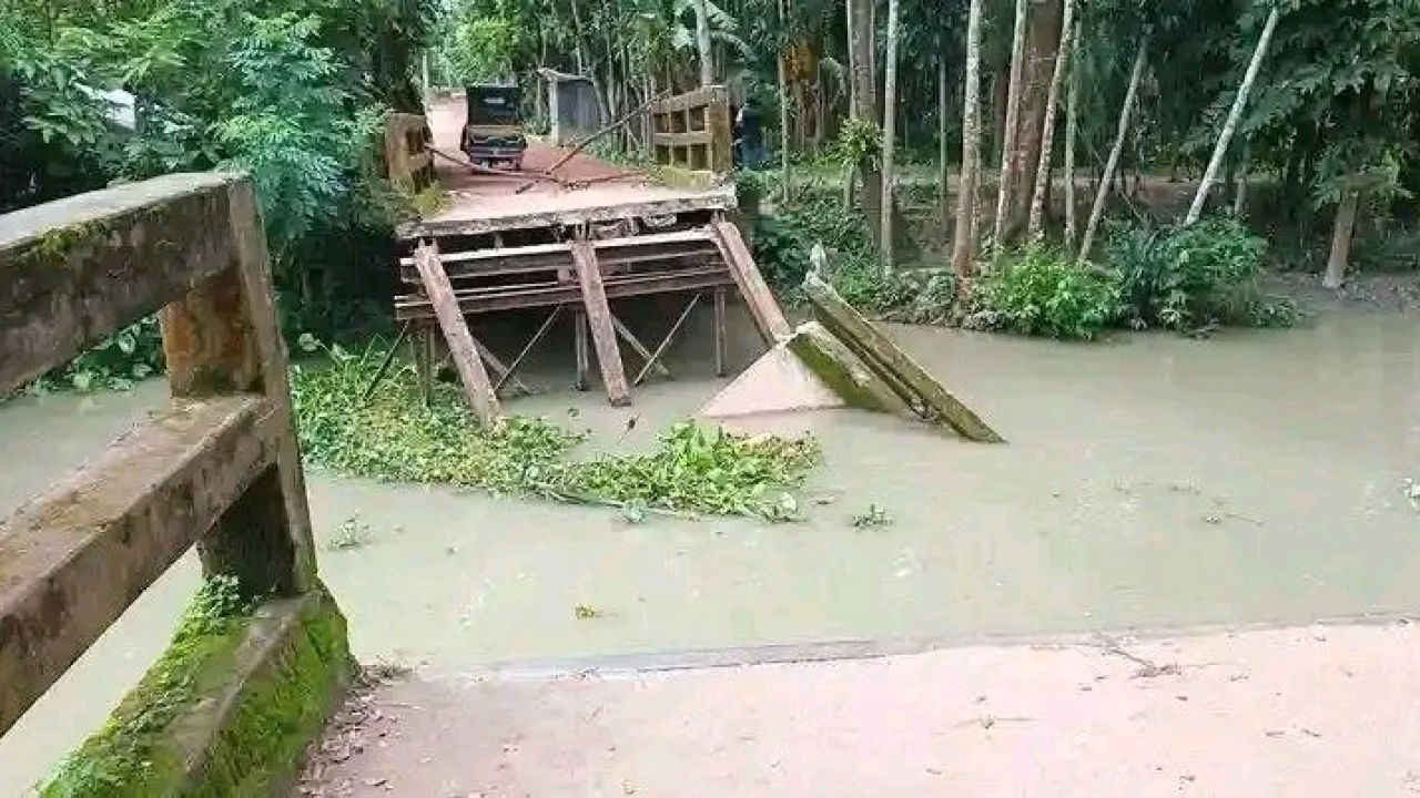 জনগণের ব্রীজ কেড়ে নিলো বালুবাহী জাহাজ