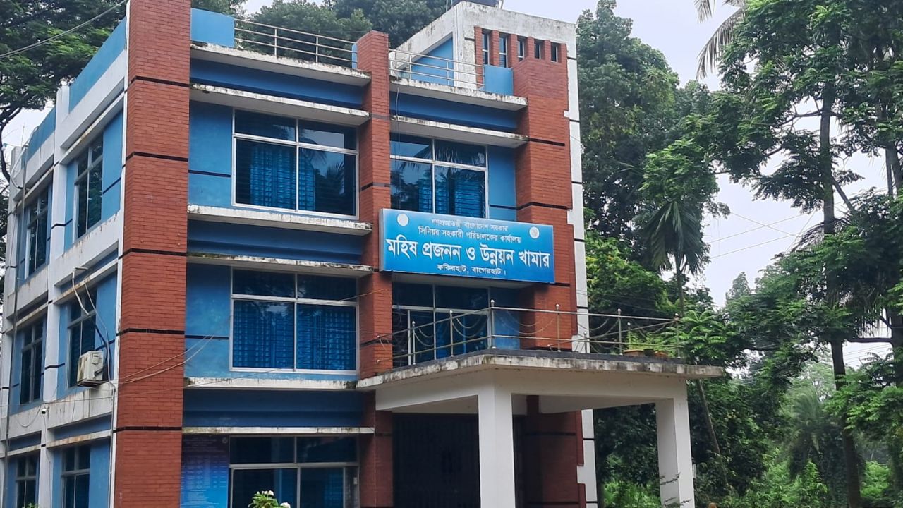 ৫২ পদের ৪২ টিই শূন্য , ৩৮ বছরেও নেই ভেটেরিনারি সার্জন