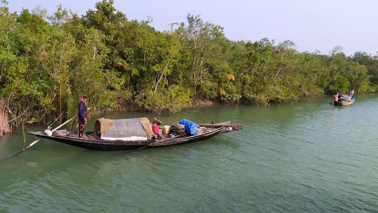 সুন্দরবনে চার জেলেকে অপহরণ করেছে বনদস্যু মজনু বাহিনী