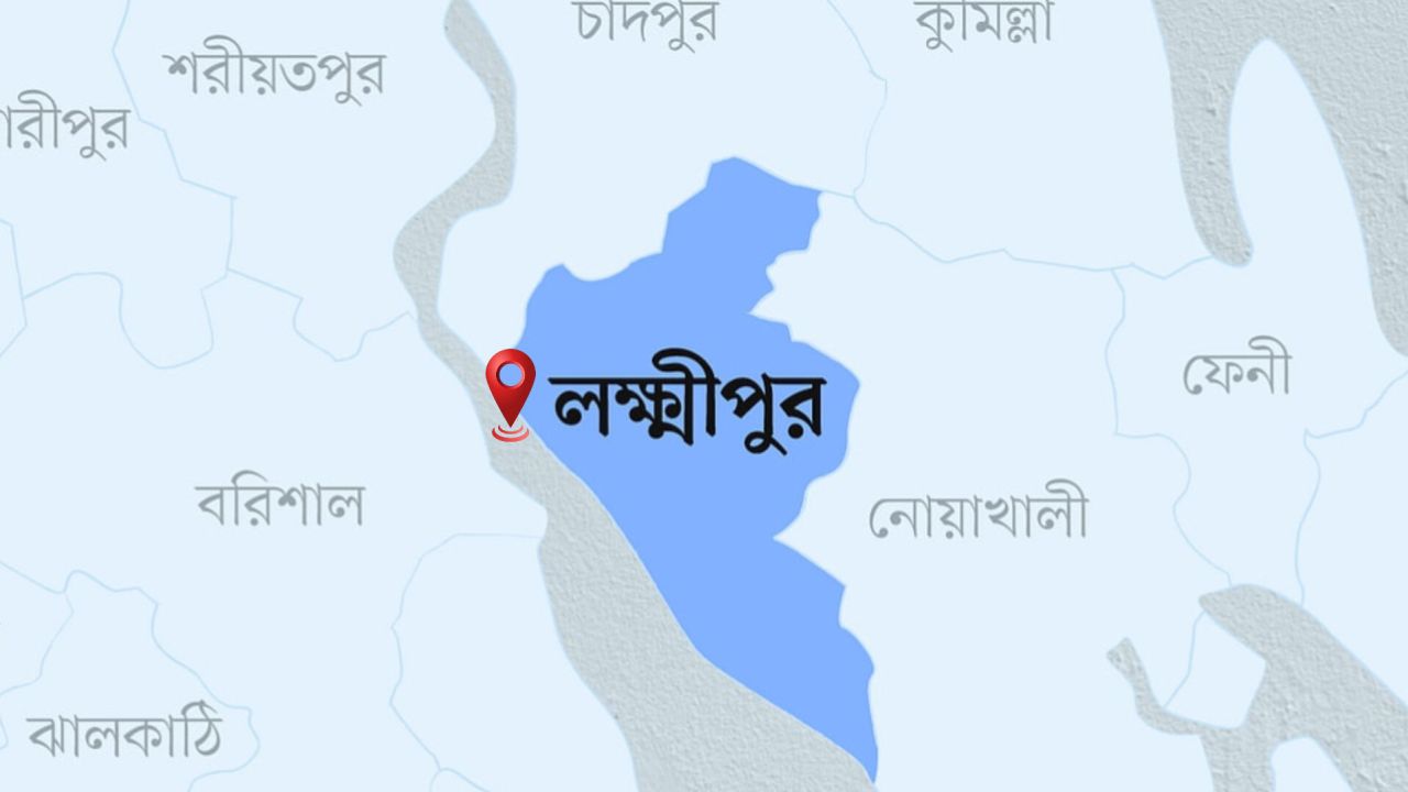 লক্ষ্মীপুরে কিশোর গ্যাংবিরোধী অভিযান, আটক ২৪৪